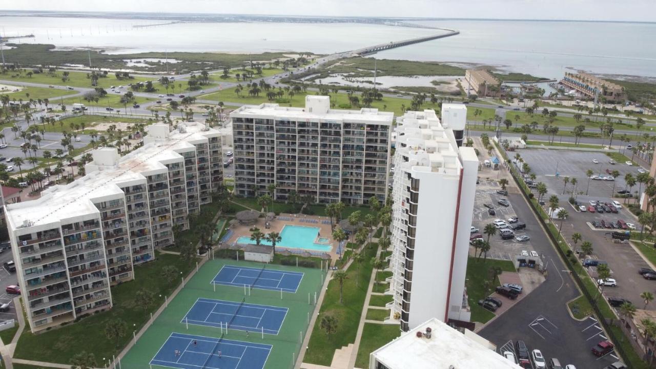 Beachfront Resort With Heated Pool Saida Royale 9039 South Padre Island Exteriör bild