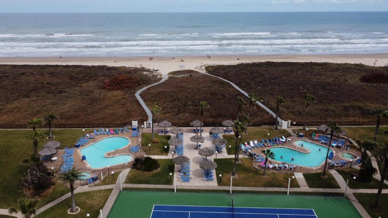 Beachfront Resort With Heated Pool Saida Royale 9039 South Padre Island Exteriör bild