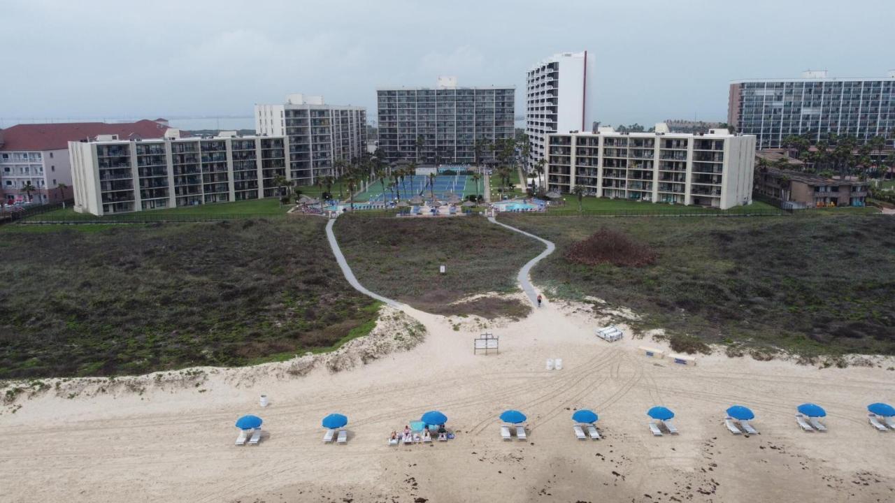 Beachfront Resort With Heated Pool Saida Royale 9039 South Padre Island Exteriör bild