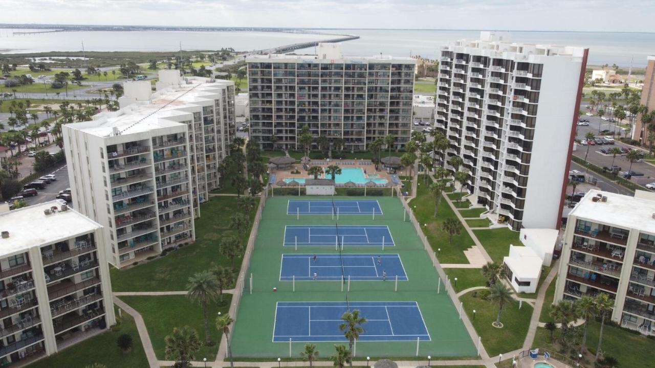 Beachfront Resort With Heated Pool Saida Royale 9039 South Padre Island Exteriör bild