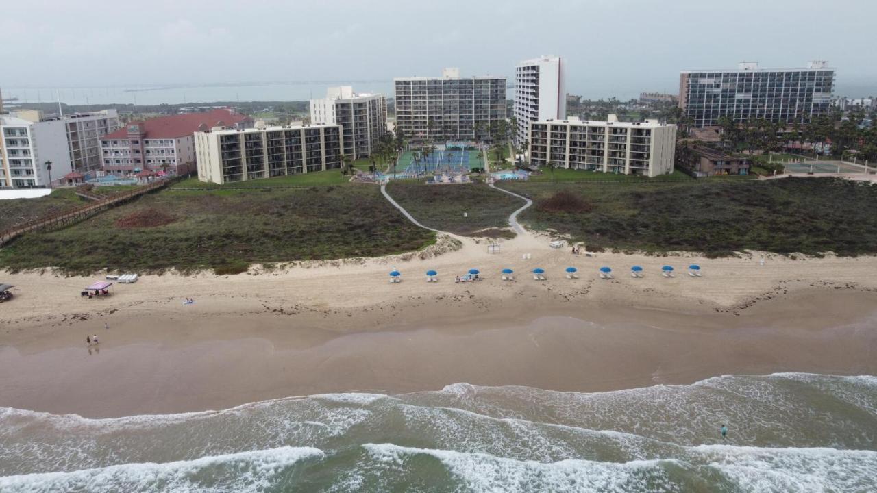 Beachfront Resort With Heated Pool Saida Royale 9039 South Padre Island Exteriör bild