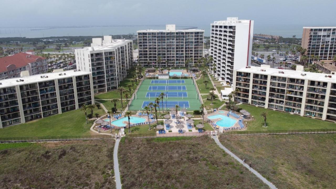 Beachfront Resort With Heated Pool Saida Royale 9039 South Padre Island Exteriör bild