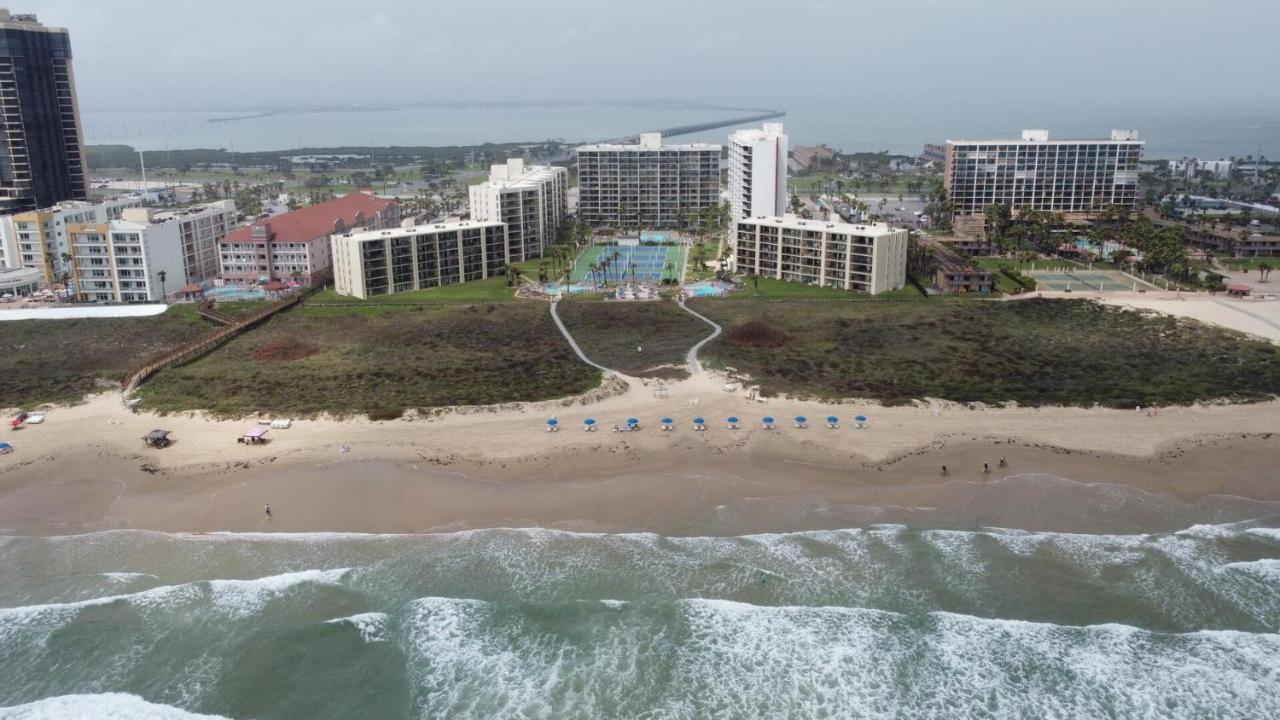Beachfront Resort With Heated Pool Saida Royale 9039 South Padre Island Exteriör bild