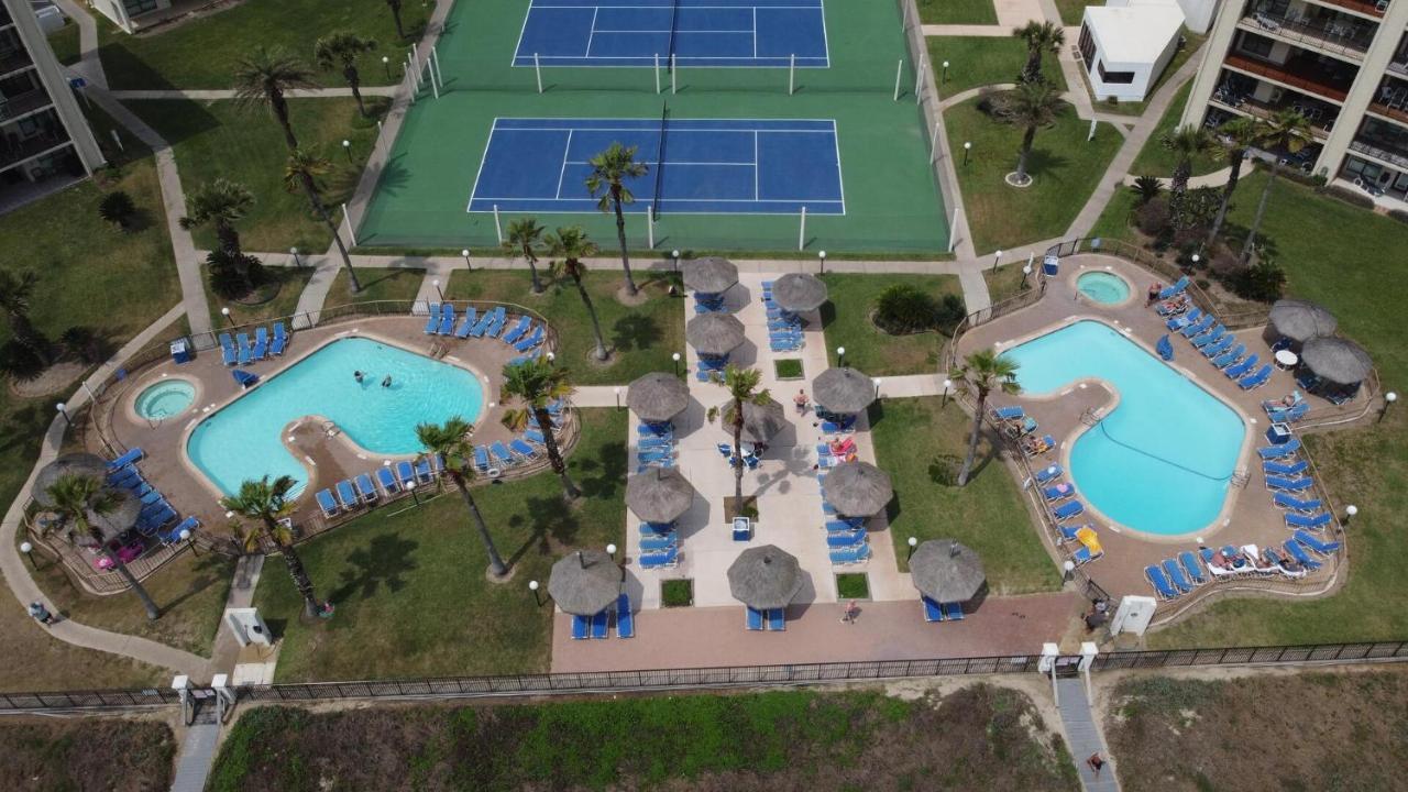 Beachfront Resort With Heated Pool Saida Royale 9039 South Padre Island Exteriör bild